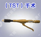 TST