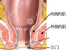 肛门瘙痒