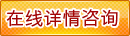 在线质询